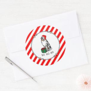 Christmas Australian Shepherd (blue merle tan/w 1) Classic Round Sticker