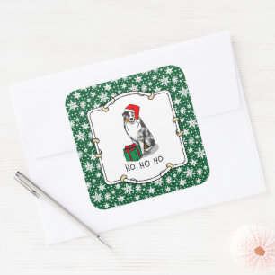 Christmas Australian Shepherd (blue merle tan/w 1) Square Sticker