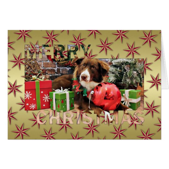 Christmas - Australian Shepherd - Molly Card