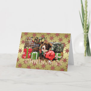 Christmas - Australian Shepherd - Molly Holiday Card