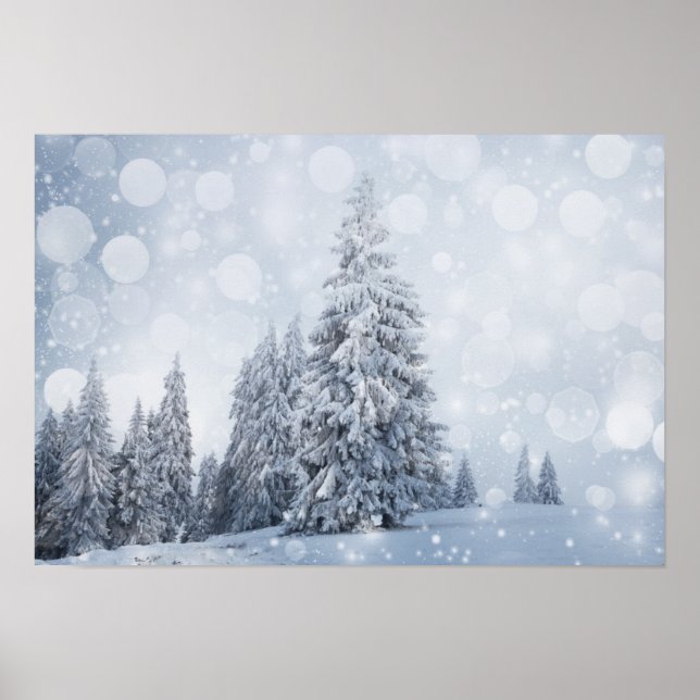 Christmas Background With Snowy Fir Trees Poster (Front)