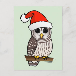 Christmas Barred Owl Santa Holiday Postcard