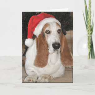 Christmas Basset-Happy Howlidays! Holiday Card