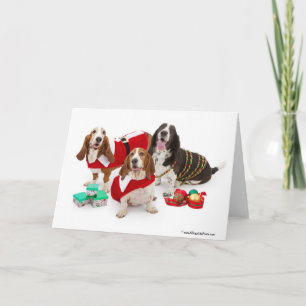 christmas basset hound holiday card