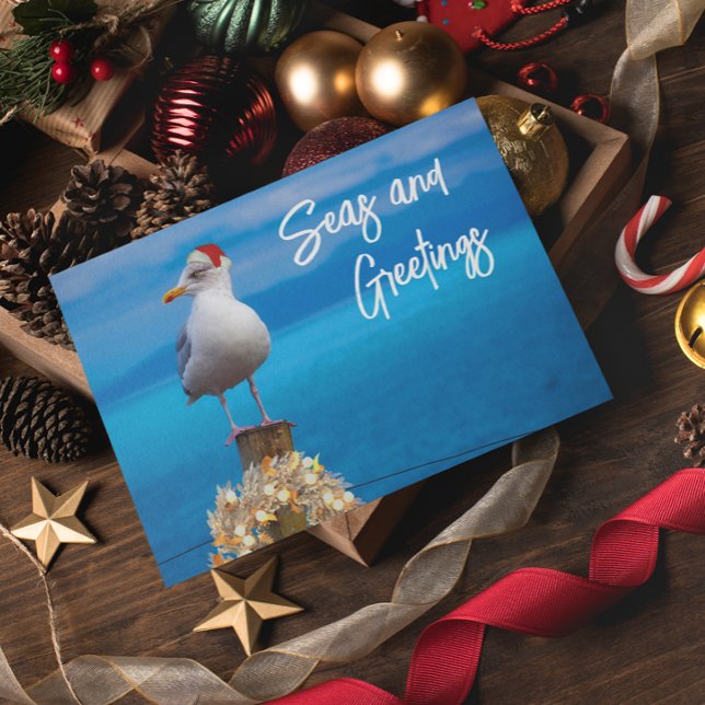Christmas Beach Seas and Greetings Seagull Ocean (Creator Uploaded)