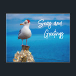 Christmas Beach Seas and Greetings Seagull Ocean Postcard<br><div class="desc">This design may be personalised by choosing the Edit Design option. You may also transfer onto other items. Contact me at colorflowcreations@gmail.com or use the chat option at the top of the page if you wish to have this design on another product or need assistance. See more of my designs...</div>