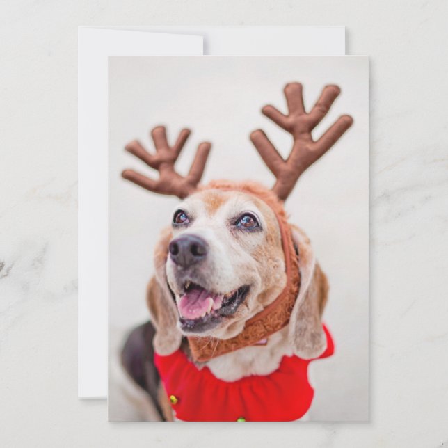 Christmas Beagle dog with festive reindeer ears Holiday Card (Front)
