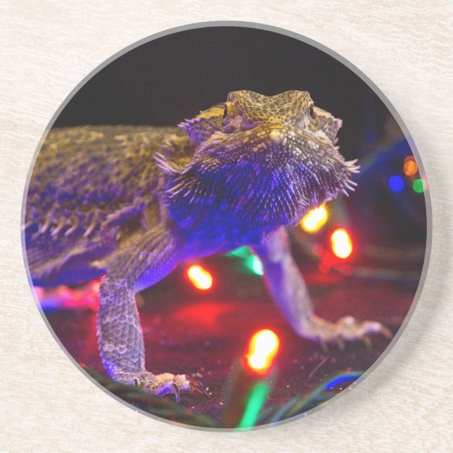 Christmas Beardie Coaster (Front)