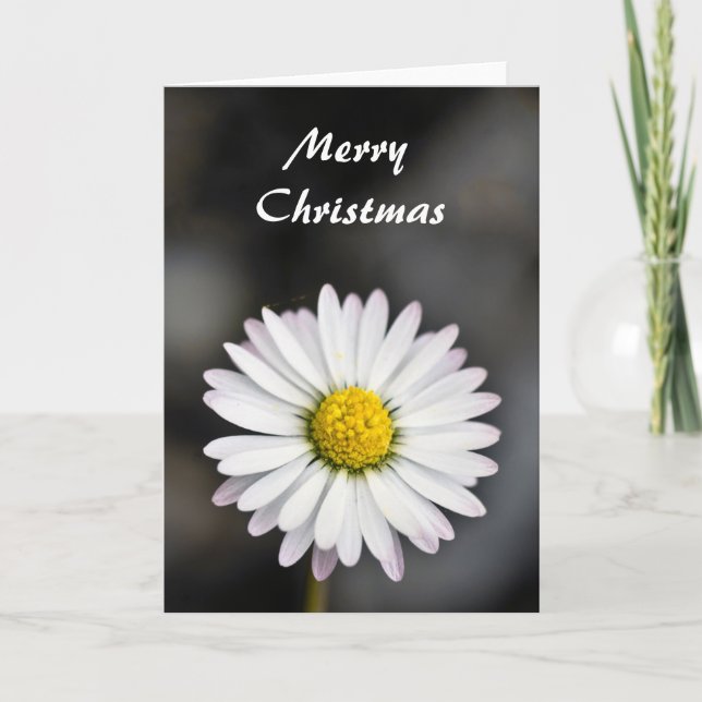Christmas beautiful white and yellow daisy holiday card (Front)