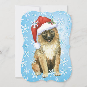 Christmas Belgian Laekenois Holiday Card