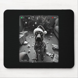 Christmas Belgian Malinois Caught On Camera Mouse Pad