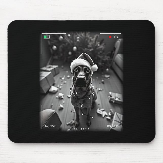 Christmas Belgian Malinois Caught On Camera  Mouse Pad (Front)