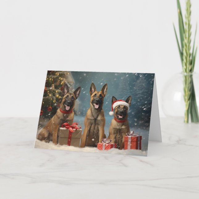 Christmas Belgian Malinois dog  Thank You Card (Front)