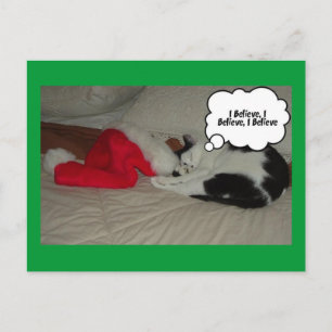 Christmas Believe Black and White Kitten Holiday Postcard