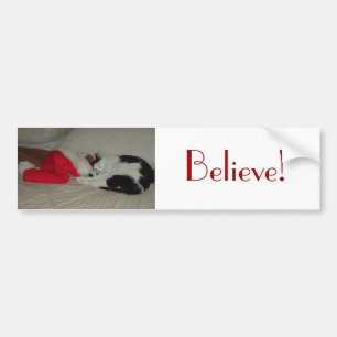 Christmas Believe Kitty Cat Bumper Sticker