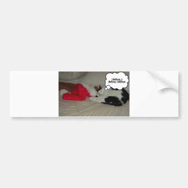 Christmas Believe Kitty Cat Bumper Sticker (Front)