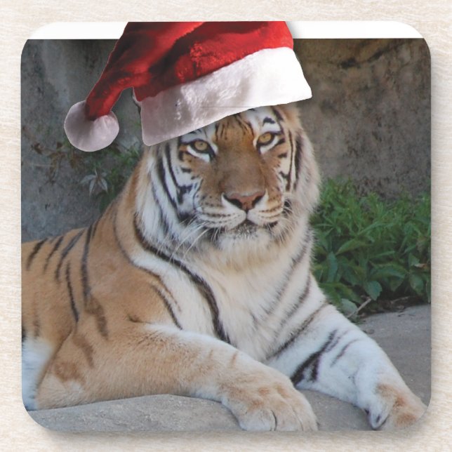 Christmas Bengal Tiger Coaster (Front)