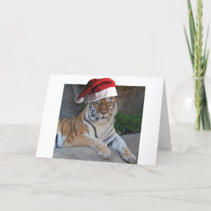 Christmas Bengal Tiger Holiday Card