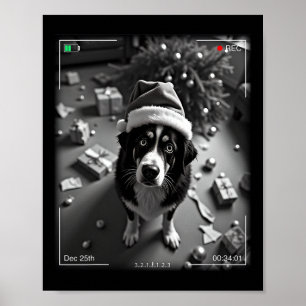 Christmas Bernese Mountain Dog Caught On Camera Poster