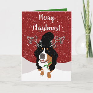 Christmas Bernese mountain Dog Gift Card