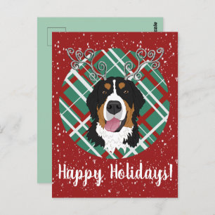 Christmas Bernese Mountain Dog  Postcard