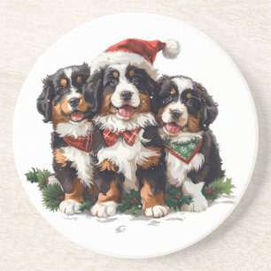 Christmas Bernese Mountain Dogs Coaster
