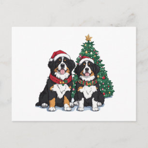 Christmas Bernese Mountain Dogs Holiday Postcard