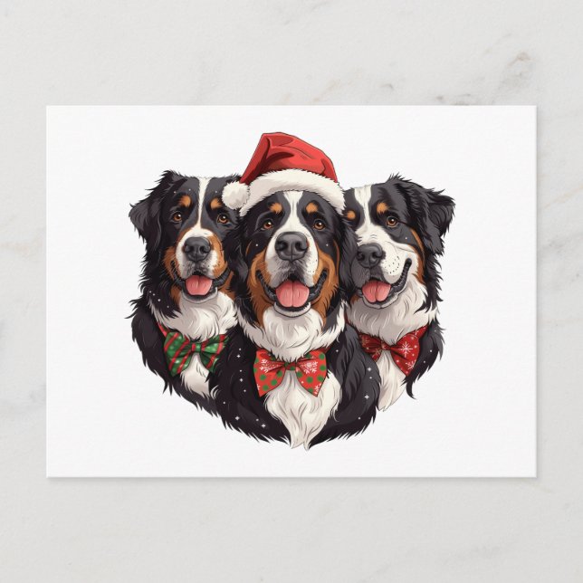 Christmas Bernese Mountain Dogs Postcard (Front)