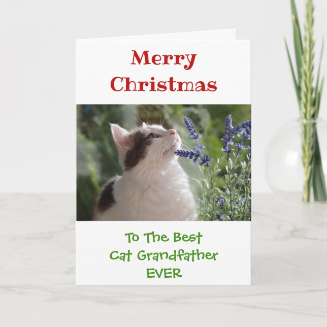 Christmas Best Cat Grandfather Ever Photo Card (Front)