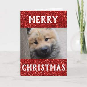 Christmas Best Dog Dad Ever Pet Photo Card