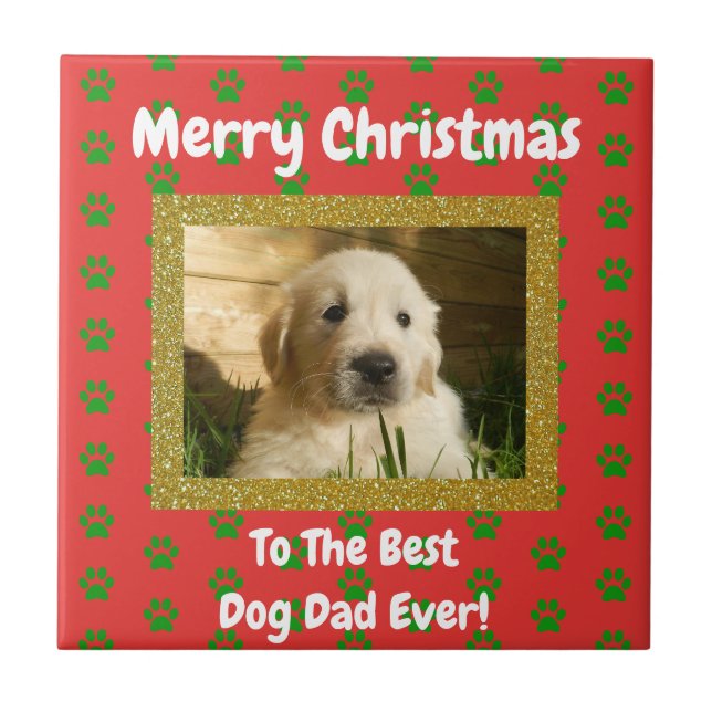Christmas Best Dog Dad Ever Pet Photo Ceramic Tile (Front)