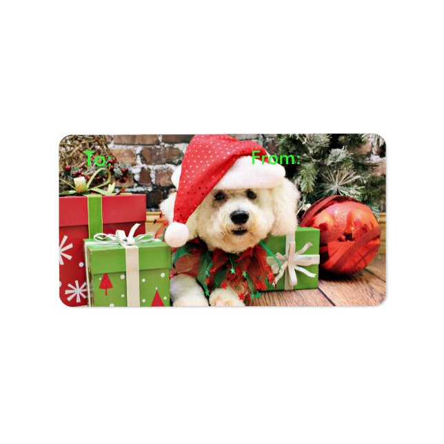 Christmas - Bichon Frise - Daisy Label (Front)
