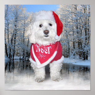 Christmas Bichon Frise Dog Poster