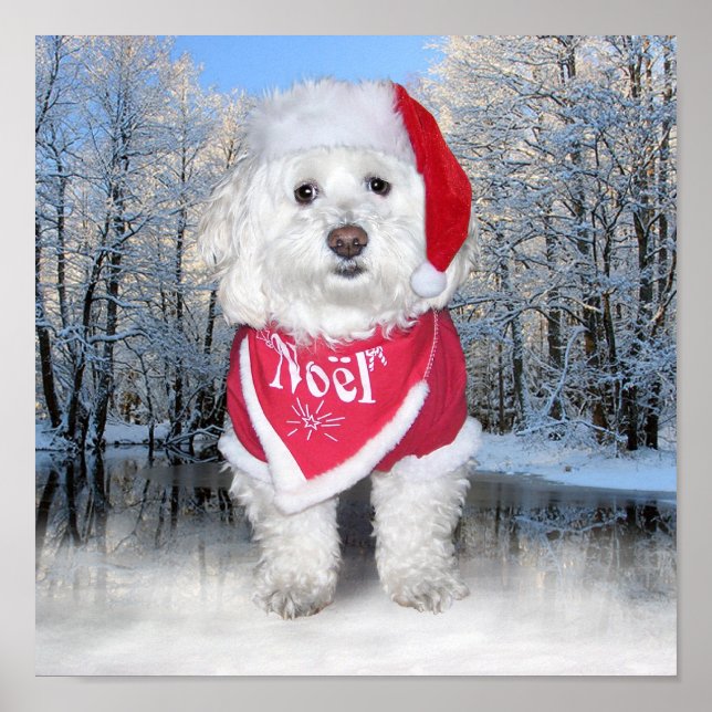 Christmas Bichon Frise Dog Poster (Front)