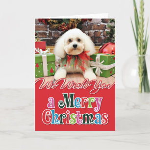 Christmas - Bichon Frise - Harry Holiday Card