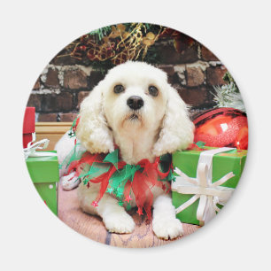 Christmas - Bichon Frise X - Maya Magnet