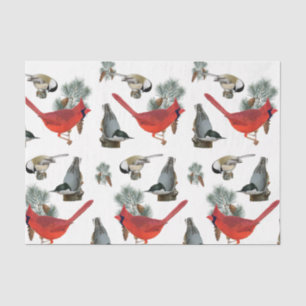 Christmas Bird Cardinal Nuthatch Chickadee Snow Tissue Paper