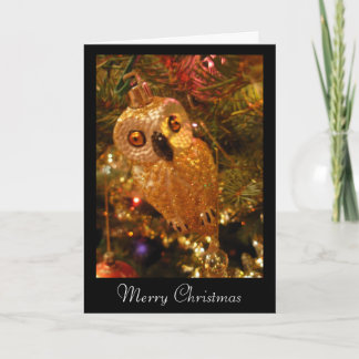 christmas bird holiday card