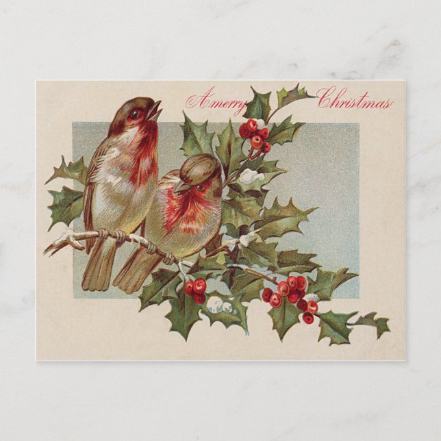 Christmas Bird Songbird Holly Snow Holiday Postcard (Front)