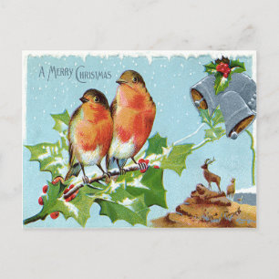 Christmas Bird Songbird Holly Snow Reindeer Bell Holiday Postcard