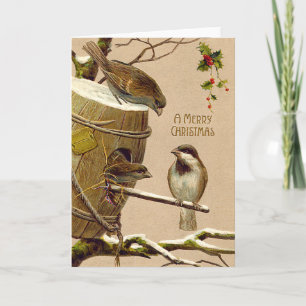 Christmas Bird Sparrow Birdhouse Holly Holiday Card
