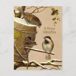 Christmas Bird Sparrow Birdhouse Holly Holiday Postcard