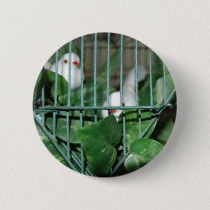 Christmas Birds 6 Cm Round Badge