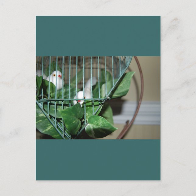 Christmas Birds Holiday Postcard (Front)