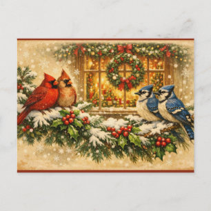 Christmas Birds on the Winter Berry Branches  Holiday Postcard