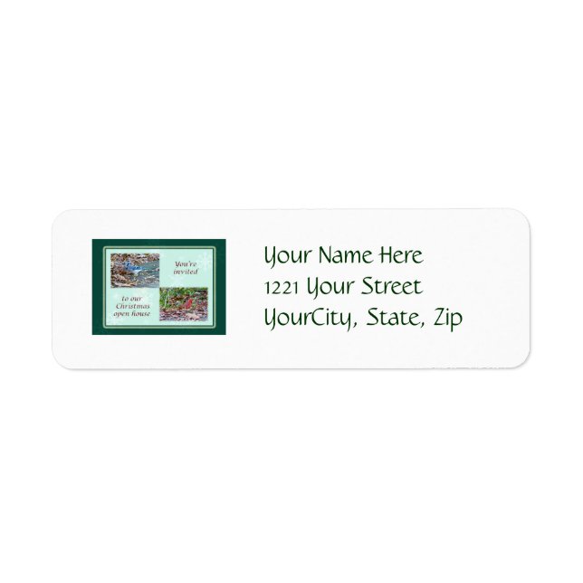 Christmas Birds Open House Invitation Return Address Label (Front)