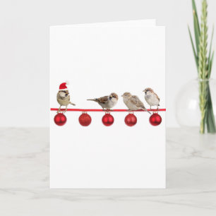 Christmas birds sparrows holiday card