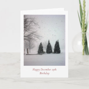 Christmas Birthday 6 - Gentle Snow Holiday Card