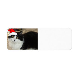 Christmas Black and White Cat Return Address Label