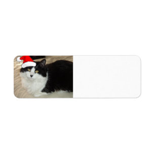 Christmas Black and White Cat Return Address Label
